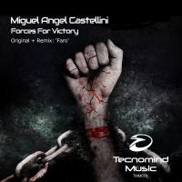 Artwork for Forces For Victory by Miguel Angel Castellini