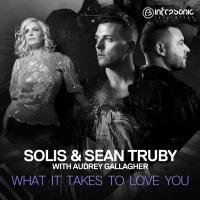 Artwork for What It Takes To Love You by Solis & Sean Truby