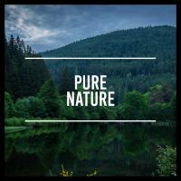 Artwork for Pure Nature by Rain Sounds