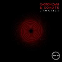 Artwork for Cymatics by Gaston Zani