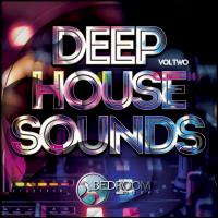 Artwork for Deep House Sounds, Vol. 2 by Various Artists