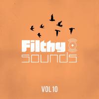 Artwork for Filthy Sounds Collection, Vol. 10 by Various Artists