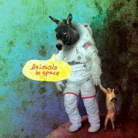 Artwork for Animals In Space by Trockensaft