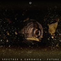 Artwork for Future by Spectree