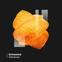 Artwork for Untamed by Safinteam