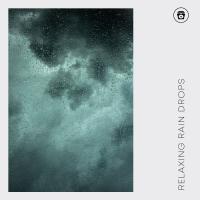 Artwork for Relaxing Rain Drops by Nature Sounds Nature Music