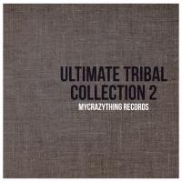 Artwork for Ultimate Tribal Collection 2 by Various Artists