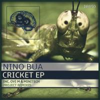 Artwork for Cricket EP by Nino Bua