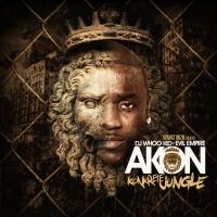 Artwork for KonKrete Jungle by Akon