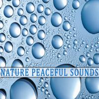 Artwork for Natural Spa and Meditation by Spa