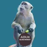 Artwork for Blues Monkey by Adln