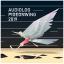 Artwork for Pigeonwing 2019 (Original Mix)