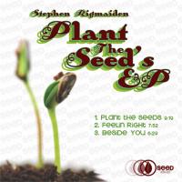 Artwork for Plant the Seeds by Stephen Rigmaiden