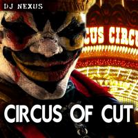 Dj Nexus