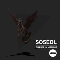 Artwork for Arrive In Needle by Soseol