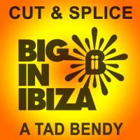 Artwork for A Tad Bendy by Cut & Splice