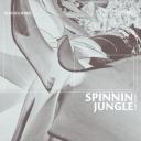 Artwork for Spinnin Jungle (Original Mix)