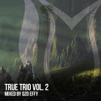 Artwork for True Trio, Vol. 2 by Ozo Effy