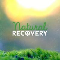 Artwork for Natural Recovery by Nature Sounds Nature Music