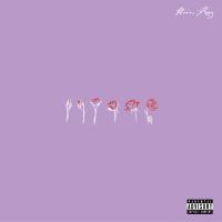 Artwork for Phases by Arin Ray