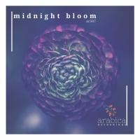 Artwork for Midnight Bloom by Various Artists