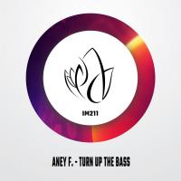 Artwork for Turn Up The Bass by Aney F.