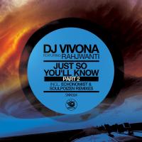 Artwork for Just So You'll Know, Pt. 2 by Dj Vivona