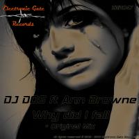 Artwork for Why Did I Fall by DJ DOS