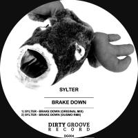 Artwork for Brake Down by Sylter