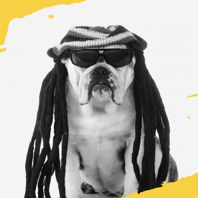 Artwork for Included: Reggae