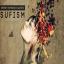 Artwork for Sufism (Original Mix)