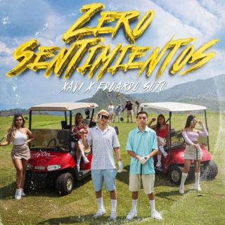 Artwork for Zero Sentimientos