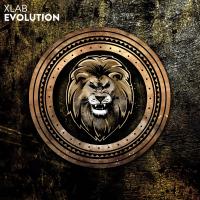 Artwork for Evolution by Xlab