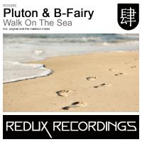 Artwork for Walk On The Sea by Pluton