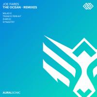 Artwork for The Ocean - Remixes by Joe Fares