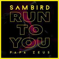 Artwork for Run To You by Sam Bird