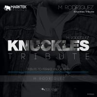 Artwork for Knuckles Tribute by M. Rodriguez