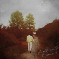 Artwork for Footprints I Found by David Kushner