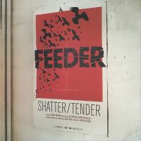 Artwork for Shatter by Feeder