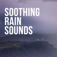 Artwork for Soothing Rain Sounds by Whale Sounds