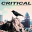 Artwork for Critical