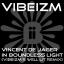 Artwork for In Boundless Light (Vibeizm's Well Lit Remix)