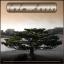 Artwork for Relaxing Instrumental Music