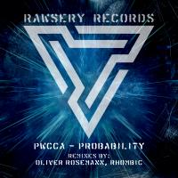 Artwork for Probability by PWCCA