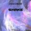 Artwork for Shake (Original Mix)