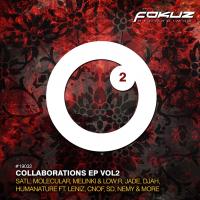 Artwork for Collaborations 2 by Various Artists