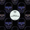 Artwork for Pump Up the Noise (Extended Mix)