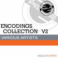 Artwork for Encodings Collection V2 by Various Artists