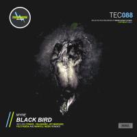 Artwork for Black Bird by MYNE