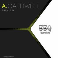 Artwork for Domino by Anna Caldwell